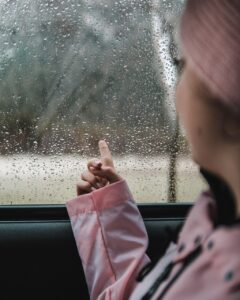 害鳥駆除の成功事例と体験談を紹介しますか？