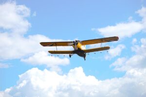 ゴキブリ駆除スプレーが効果ない理由とは？