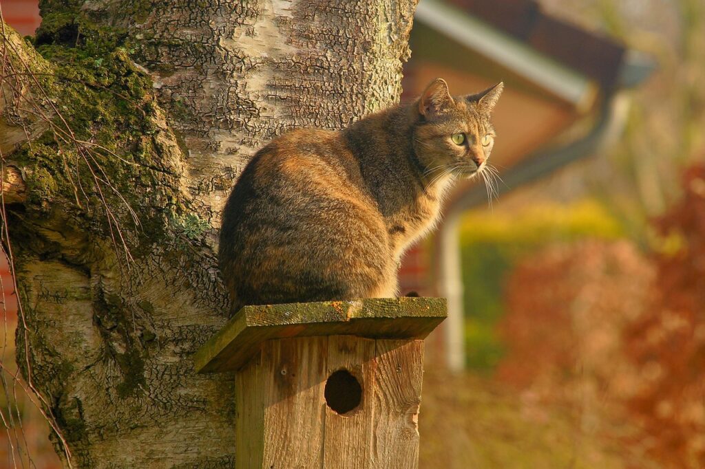 ペットがいる家での効果的なゴキブリ対策は？