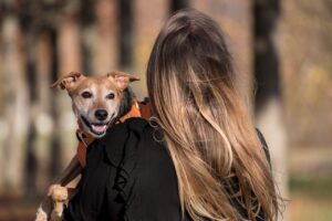 ペットフードの虫湧く防止に効果的な対策は？