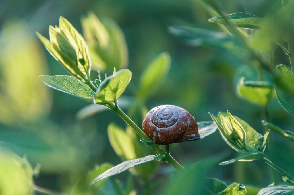 ペット同居の家庭で害虫駆除を行うべきタイミングは？