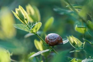 ペット同居の家庭で害虫駆除を行うべきタイミングは？