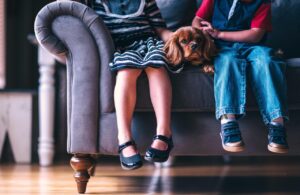 子供とペットのためのシロアリ対策は安全なのか？