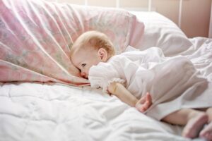 赤ちゃんとペットを飼う家庭のための害虫対策比較は？