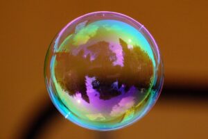 アリの家庭における巣対策はどうすればいい？