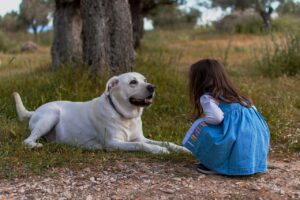 子供とペットのための虫除けを手作りする方法は？