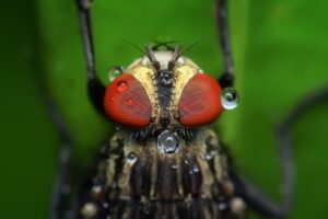 家庭の初心者向け害虫対策にはどんな方法がある？