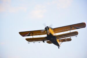 蚊の家庭での駆除に最適なスプレーはどれ？