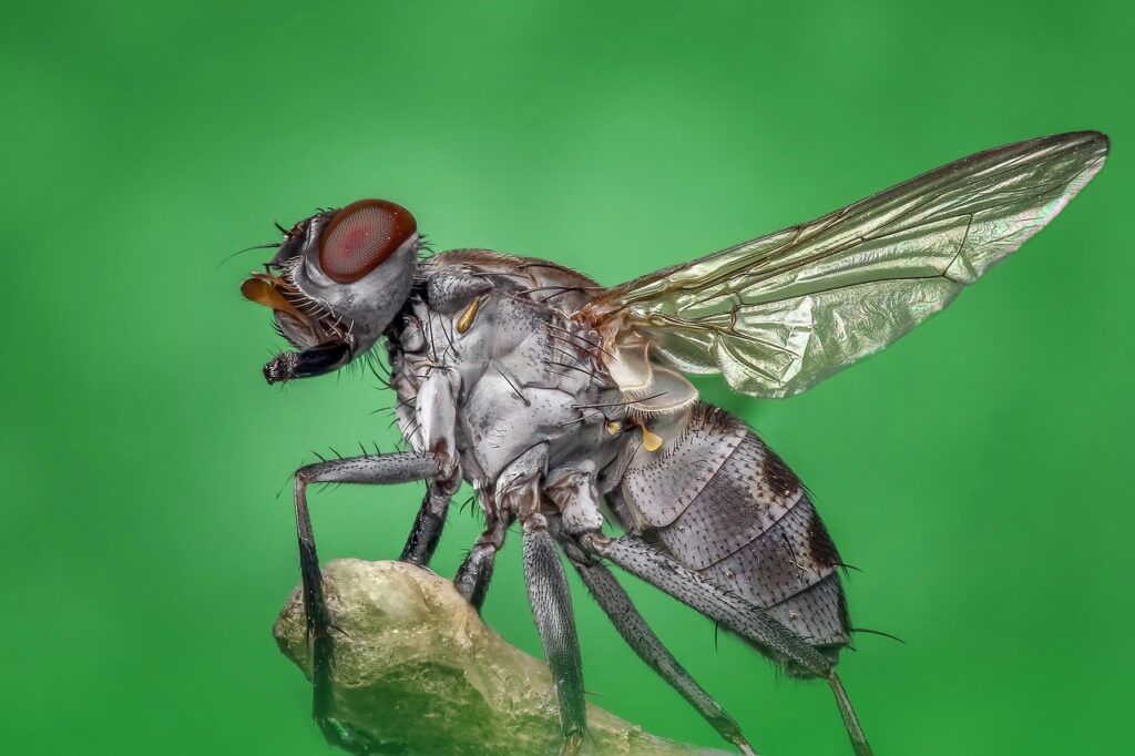 家庭の害虫撃退に役立つ収納対策は？